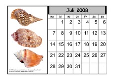 Kalender-2008-07.pdf